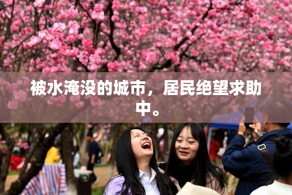 被水淹没的城市，居民绝望求助中。