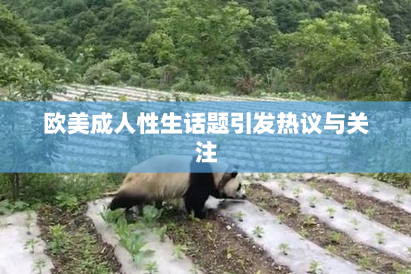 欧美成人性生话题引发热议与关注
