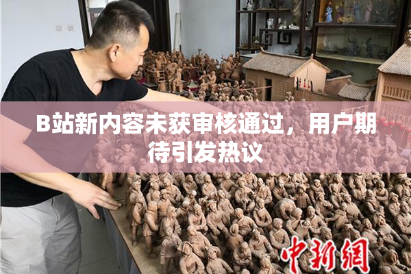 B站新内容未获审核通过，用户期待引发热议