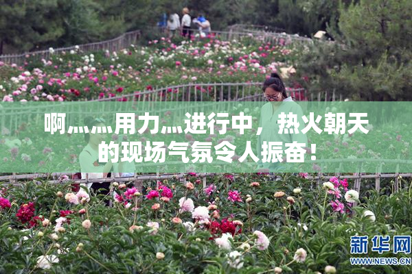 啊灬灬用力灬进行中，热火朝天的现场气氛令人振奋！