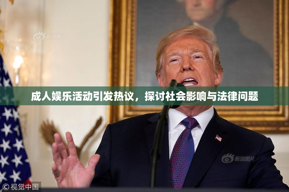 成人娱乐活动引发热议，探讨社会影响与法律问题