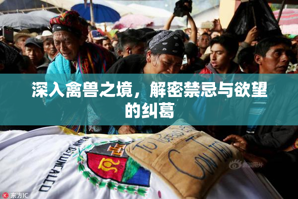 深入禽兽之境，解密禁忌与欲望的纠葛