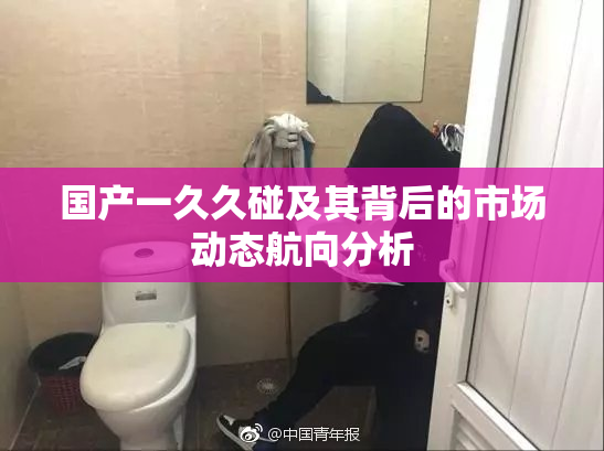 国产一久久碰及其背后的市场动态航向分析