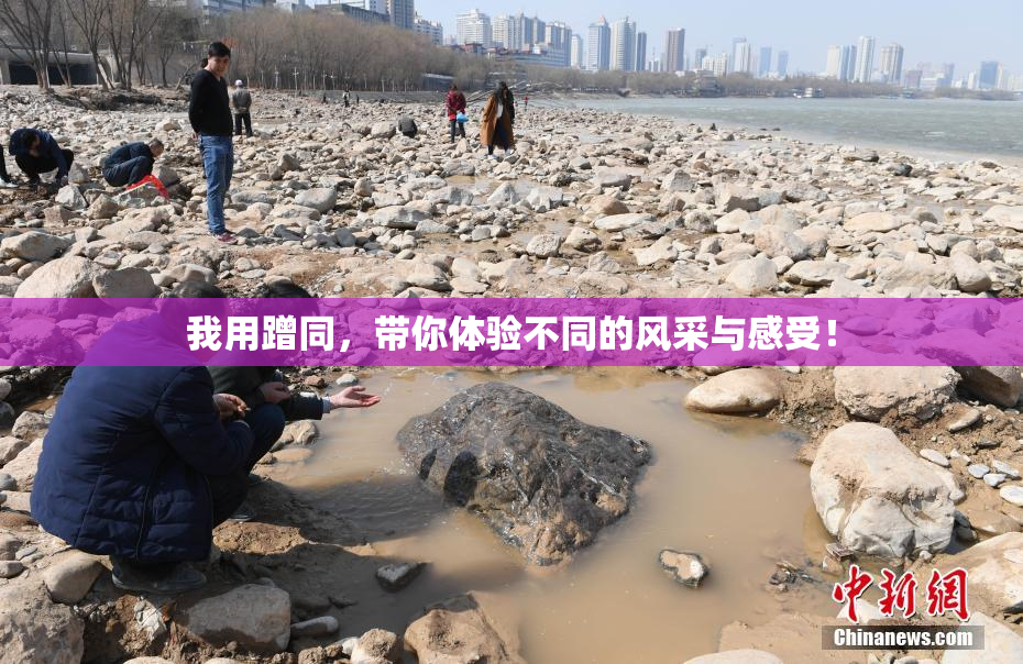 我用蹭同，带你体验不同的风采与感受！