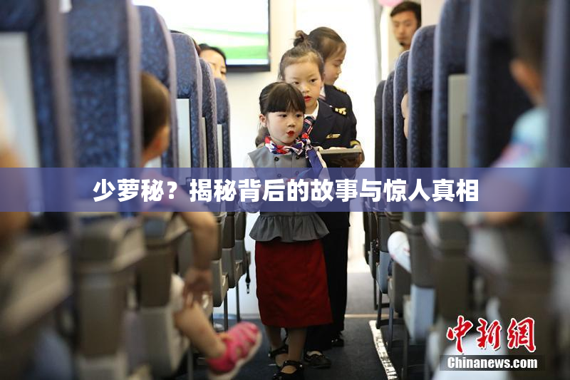 少萝秘？揭秘背后的故事与惊人真相