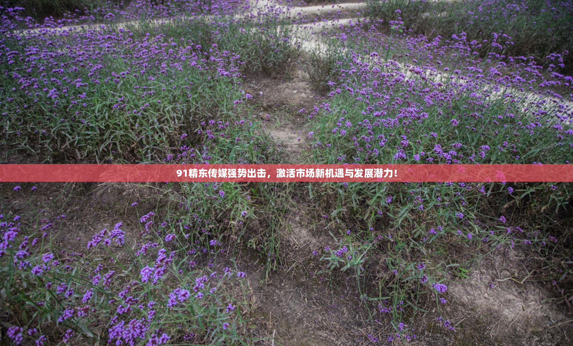 91精东传媒强势出击，激活市场新机遇与发展潜力！