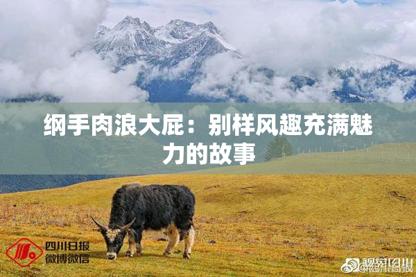 纲手肉浪大屁：别样风趣充满魅力的故事