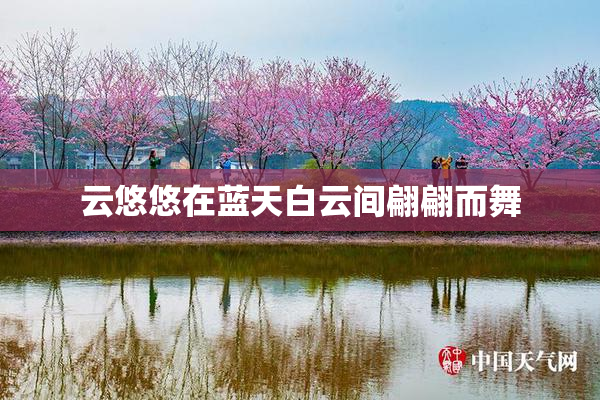 云悠悠在蓝天白云间翩翩而舞