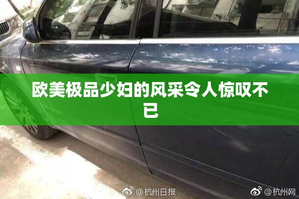 欧美极品少妇的风采令人惊叹不已