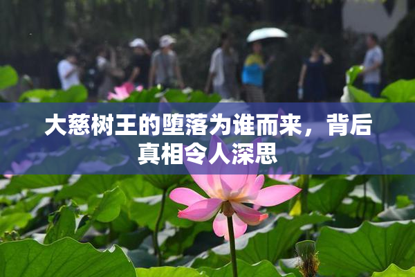 大慈树王的堕落为谁而来，背后真相令人深思