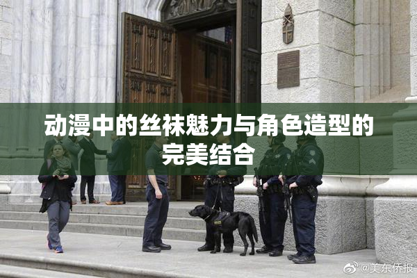 动漫中的丝袜魅力与角色造型的完美结合