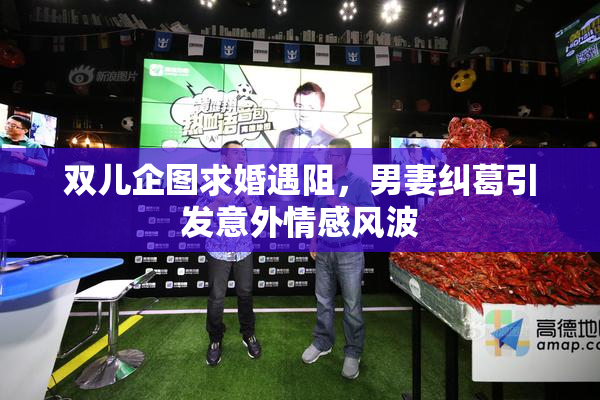 双儿企图求婚遇阻，男妻纠葛引发意外情感风波