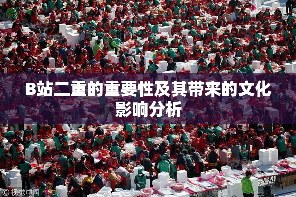 B站二重的重要性及其带来的文化影响分析