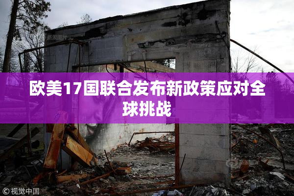欧美17国联合发布新政策应对全球挑战