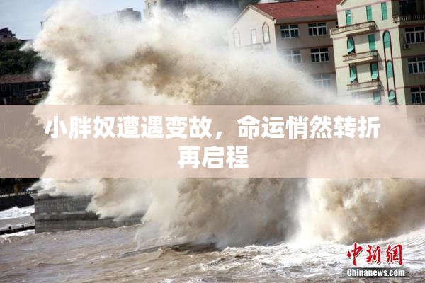 小胖奴遭遇变故，命运悄然转折再启程