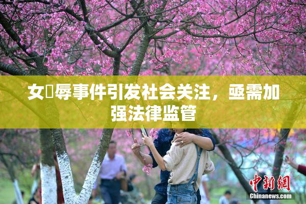 女婬辱事件引发社会关注，亟需加强法律监管