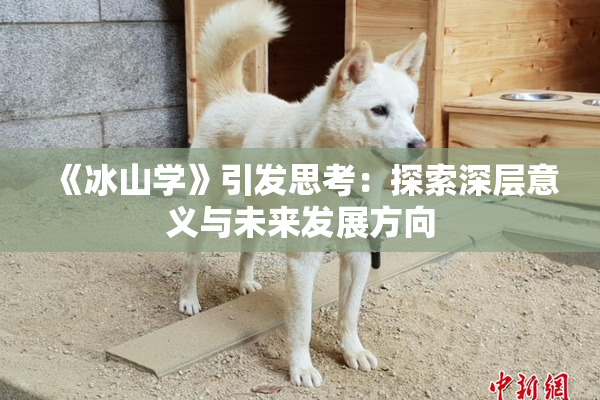 《冰山学》引发思考：探索深层意义与未来发展方向