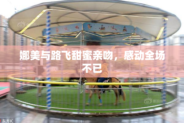 娜美与路飞甜蜜亲吻，感动全场不已