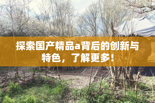 探索国产精品a背后的创新与特色，了解更多！