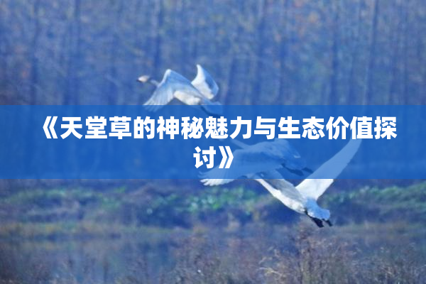 《天堂草的神秘魅力与生态价值探讨》