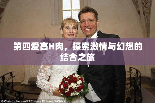 第四爱高H肉，探索激情与幻想的结合之旅