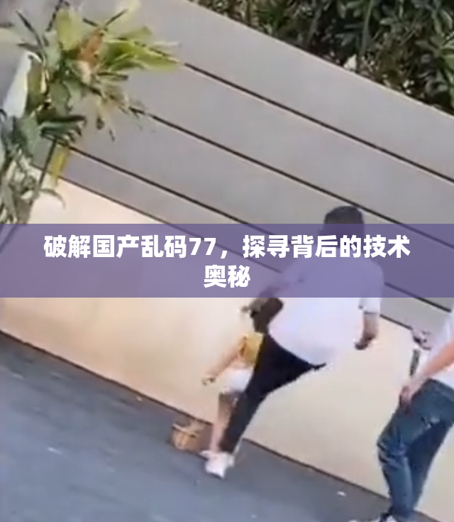 破解国产乱码77，探寻背后的技术奥秘