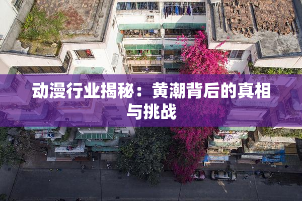 动漫行业揭秘：黄潮背后的真相与挑战