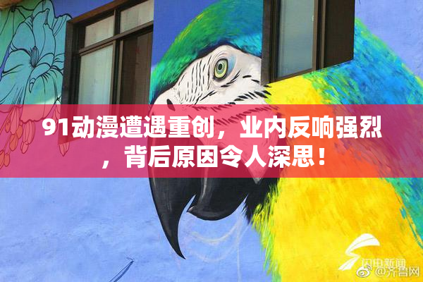 91动漫遭遇重创，业内反响强烈，背后原因令人深思！