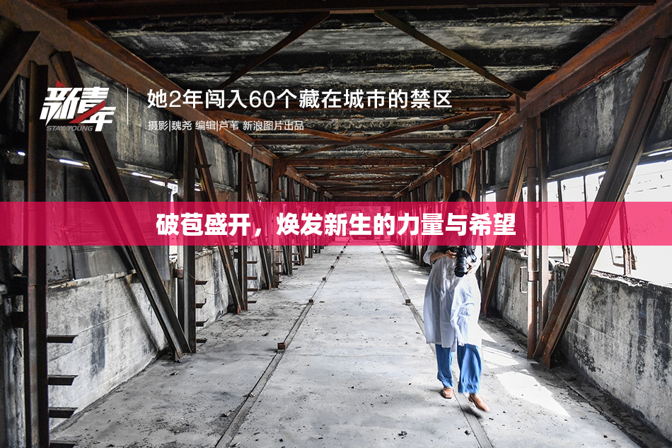 破苞盛开，焕发新生的力量与希望