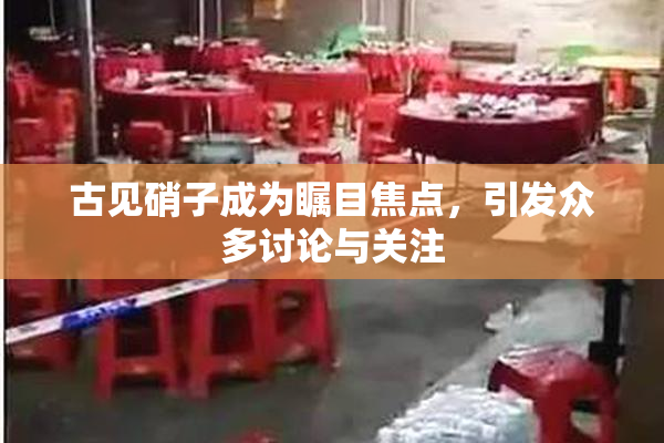 古见硝子成为瞩目焦点，引发众多讨论与关注