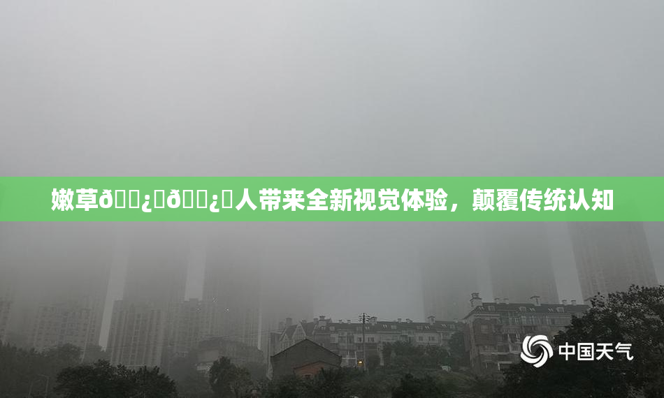 嫩草🌿‌🌿‌人带来全新视觉体验，颠覆传统认知