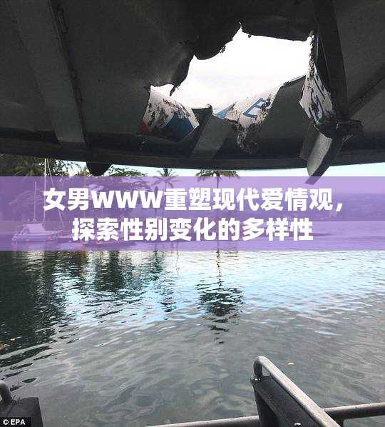 女男WWW重塑现代爱情观，探索性别变化的多样性