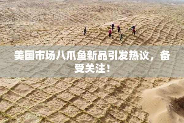 美国市场八爪鱼新品引发热议，备受关注！