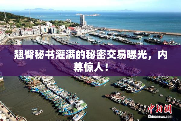 翘臀秘书灌满的秘密交易曝光，内幕惊人！