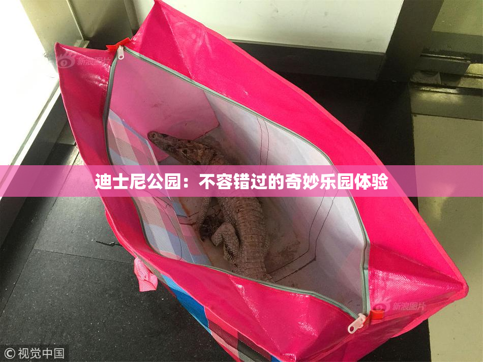 迪士尼公园：不容错过的奇妙乐园体验