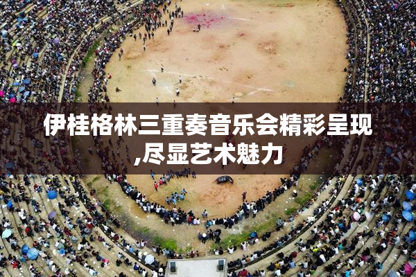 伊桂格林三重奏音乐会精彩呈现,尽显艺术魅力