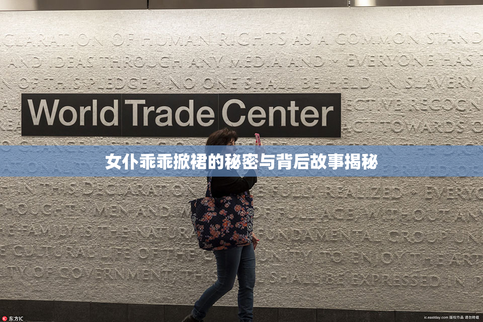 女仆乖乖掀裙的秘密与背后故事揭秘