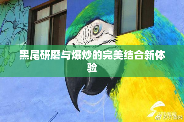 黑尾研磨与爆炒的完美结合新体验