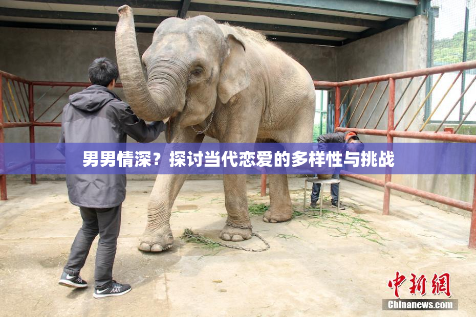男男情深？探讨当代恋爱的多样性与挑战