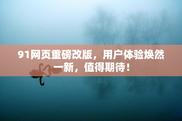 91网页重磅改版，用户体验焕然一新，值得期待！