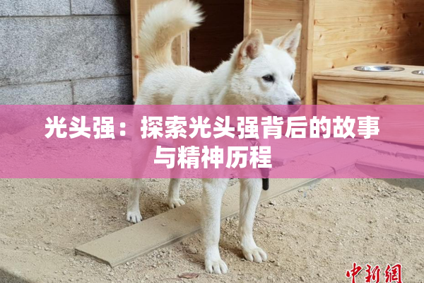 光头强：探索光头强背后的故事与精神历程