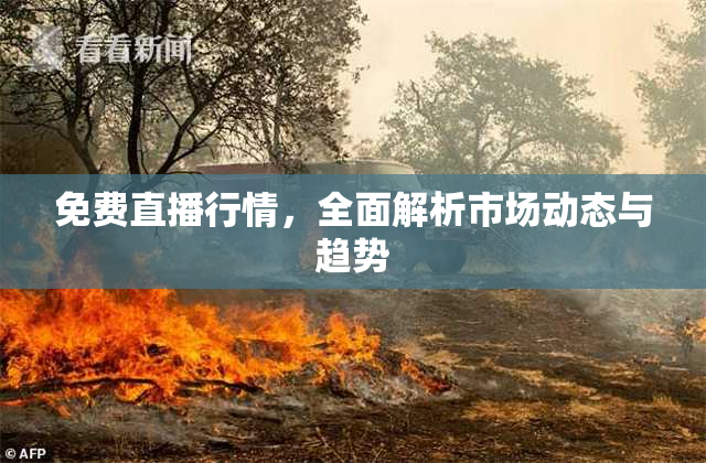 免费直播行情，全面解析市场动态与趋势