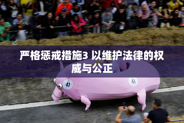 严格惩戒措施3 以维护法律的权威与公正