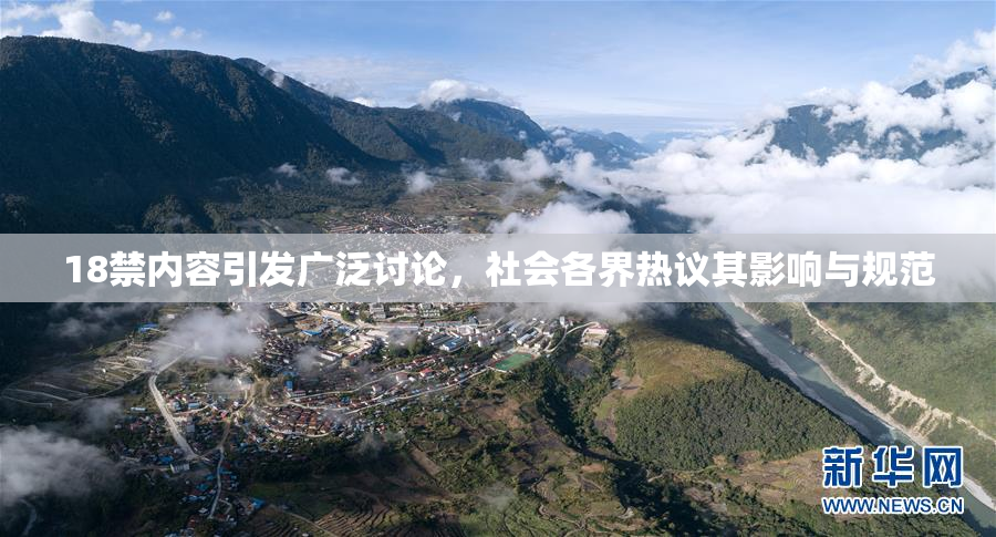 18禁内容引发广泛讨论，社会各界热议其影响与规范
