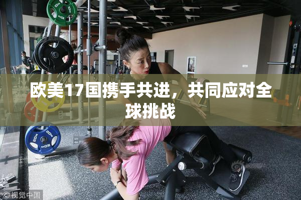 欧美17国携手共进，共同应对全球挑战