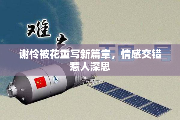 谢怜被花重写新篇章，情感交错惹人深思