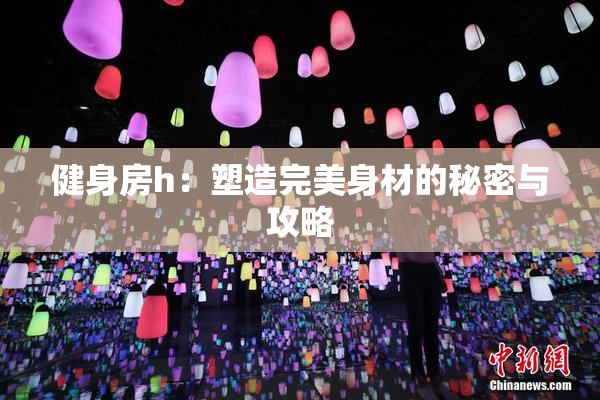 健身房h：塑造完美身材的秘密与攻略