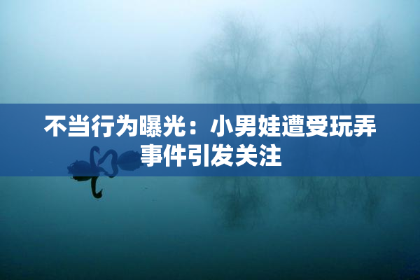 不当行为曝光：小男娃遭受玩弄事件引发关注