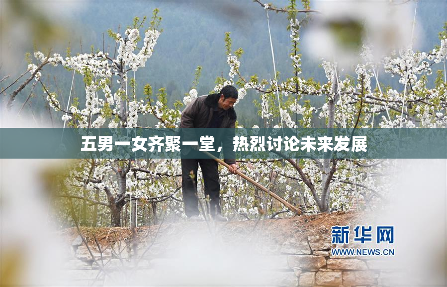 五男一女齐聚一堂，热烈讨论未来发展