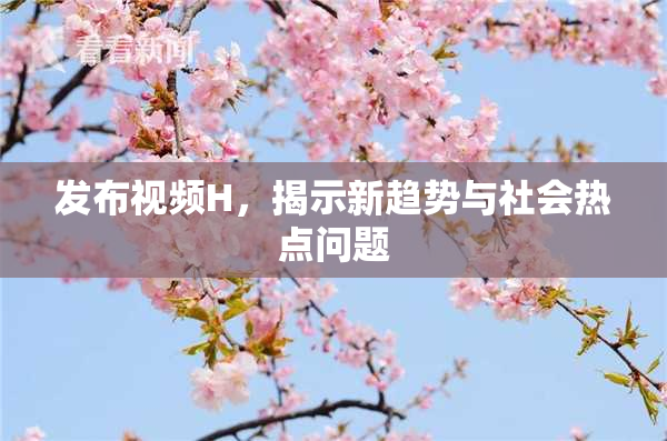 发布视频H，揭示新趋势与社会热点问题
